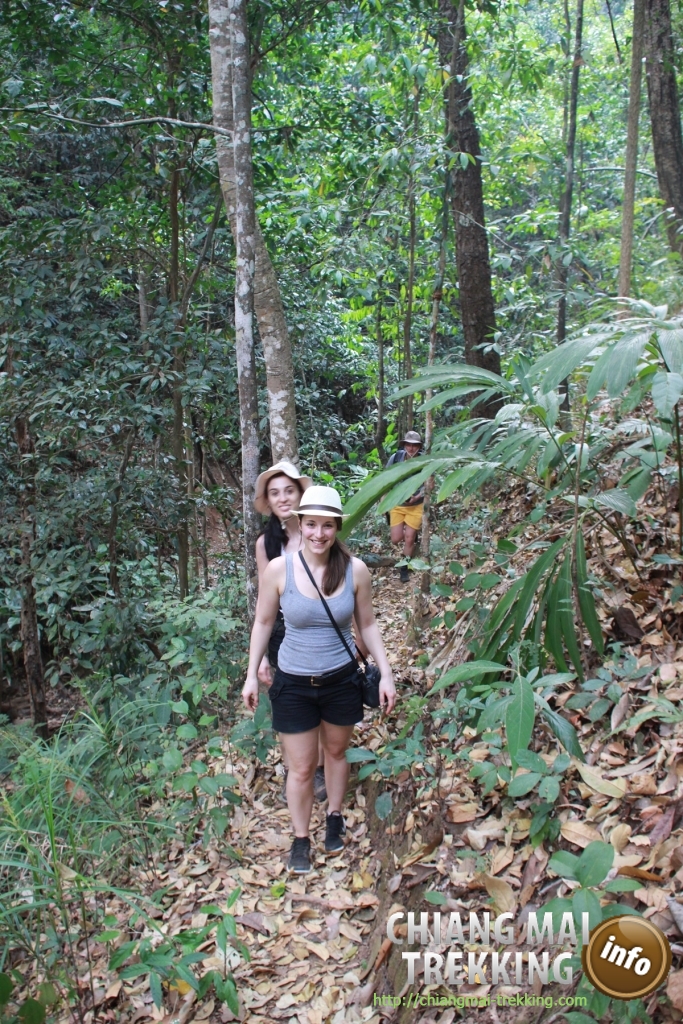 3-days/2-nights Trekking Tour | Chiang Mai Trekking | Le meilleur trekking à Chiang Mai avec Piroon Nantaya